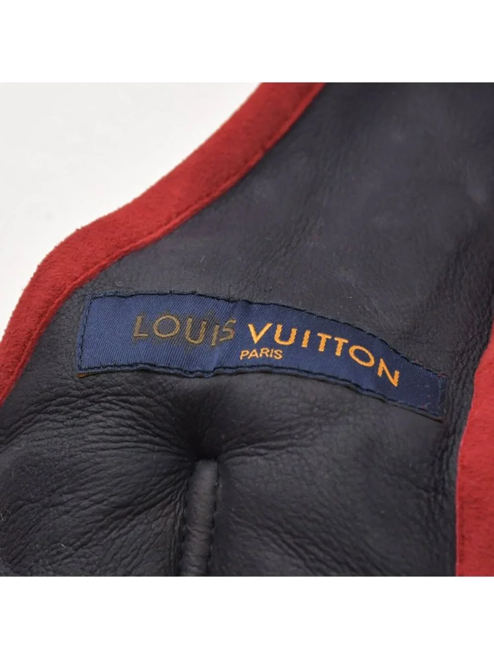 Louis Vuitton brand louis